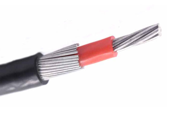 Transmission line PVC Insulation Single or Multi-core XLPE Concentric Cable 0.6/1kV