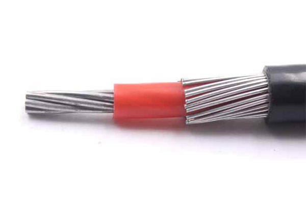 Transmission line PVC Insulation Single or Multi-core XLPE Concentric Cable 0.6/1kV